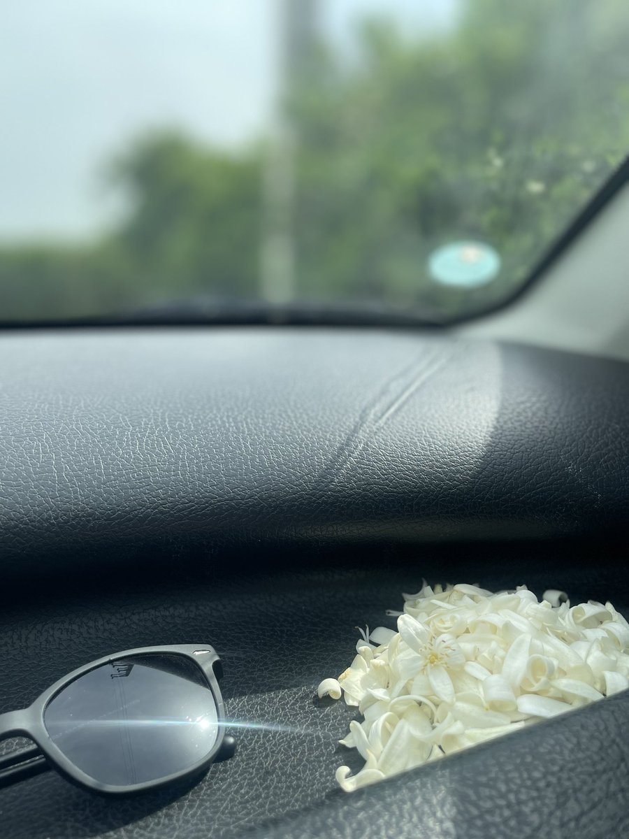 آلبرتین🕊 tweet media