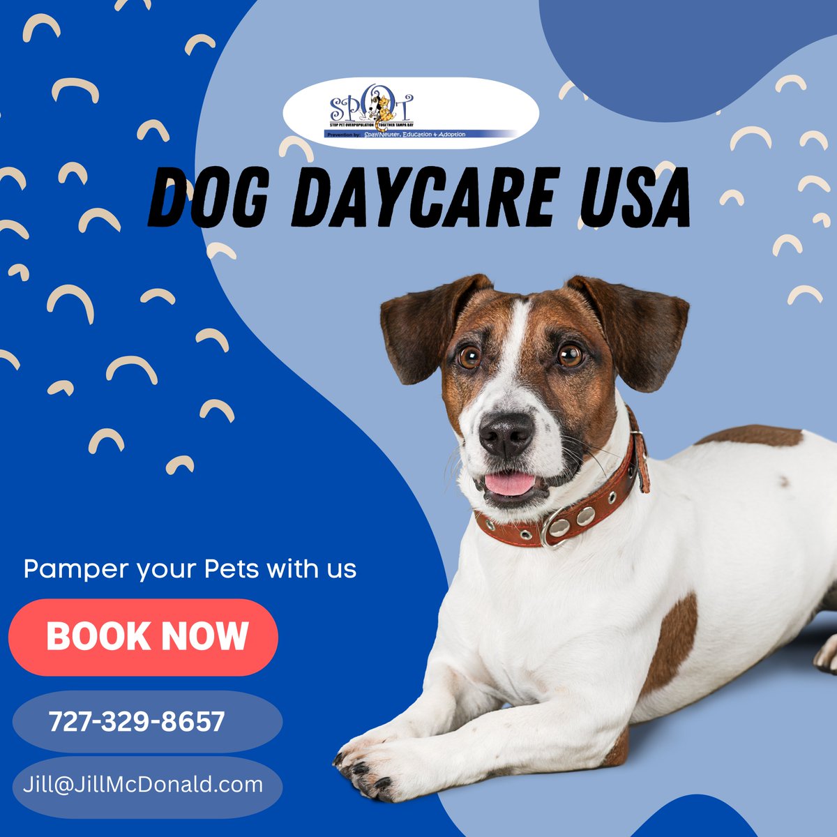 Spot - USA (@Spotusa123) / Posts / X