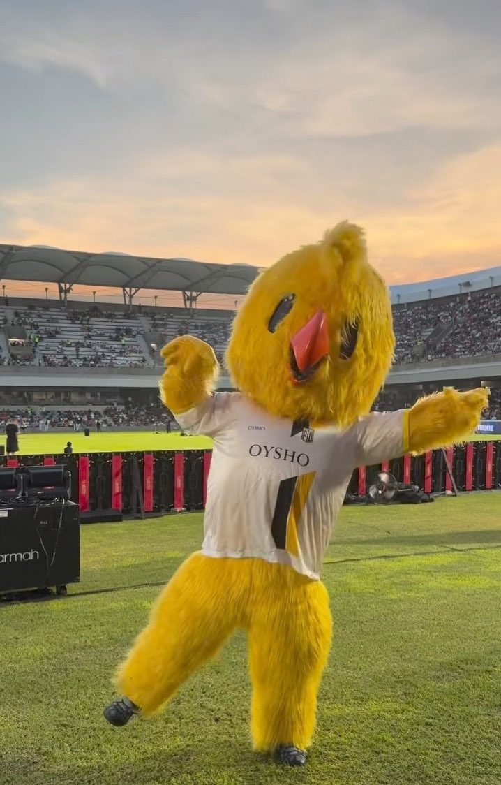 Hay que darle mérito a pollon que con esas plumas tuvo que haber muerto de calor