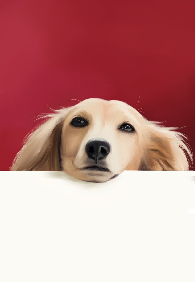 ana marija ¹⁶ tweet media