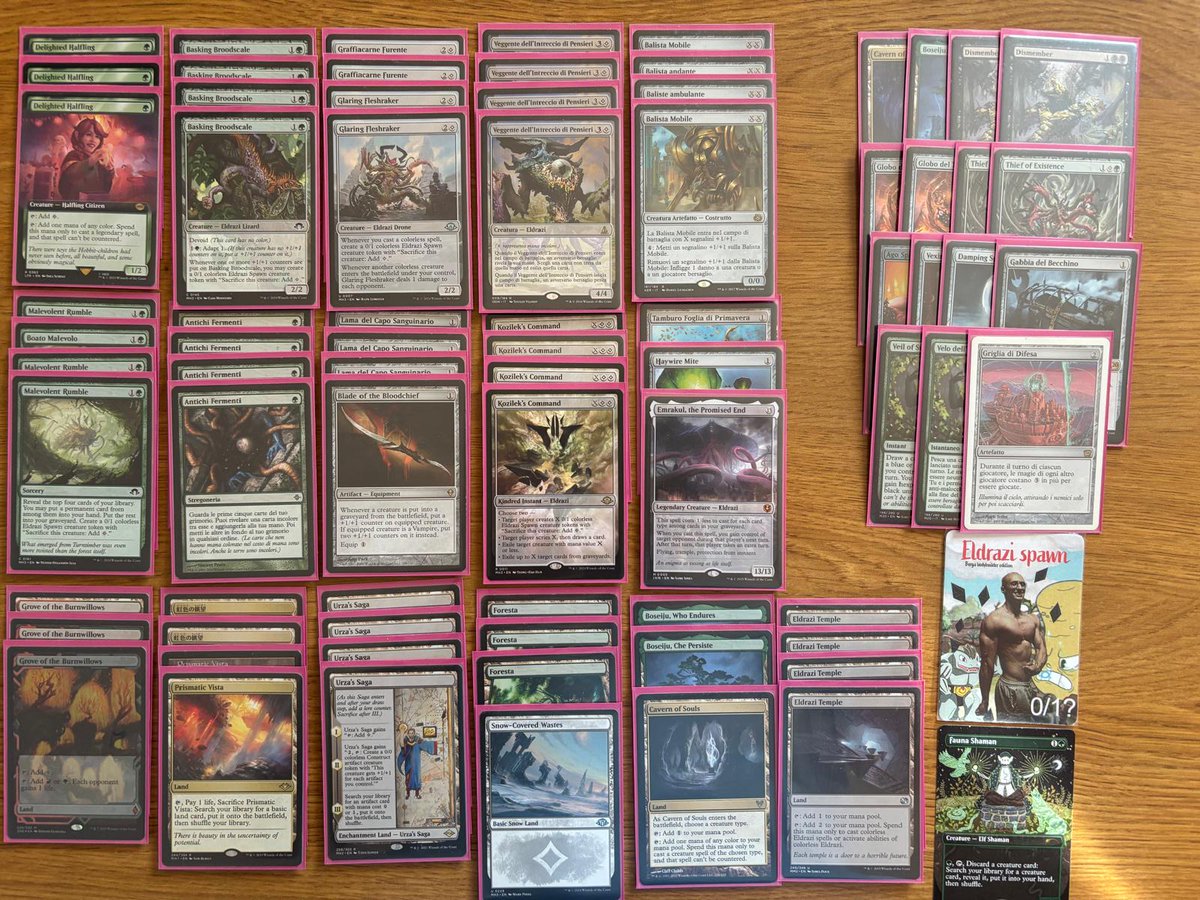 Lorenzo Bergamini tweet media