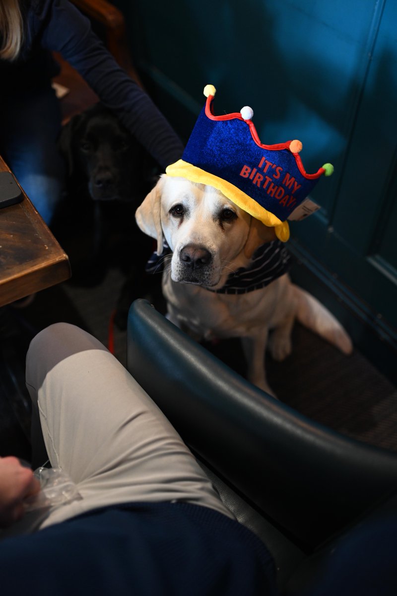 Duke On The Green tweet media