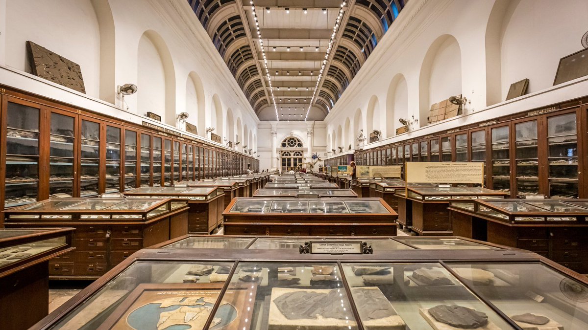 Museums aren't just repositories of times, things, and beings past. They are custodians of society, vigorously 
preserving and conserving slivers of the natural and the built to excite the contemporary out of apathy, setting it on the path towards a meaningful future.

#Museums |