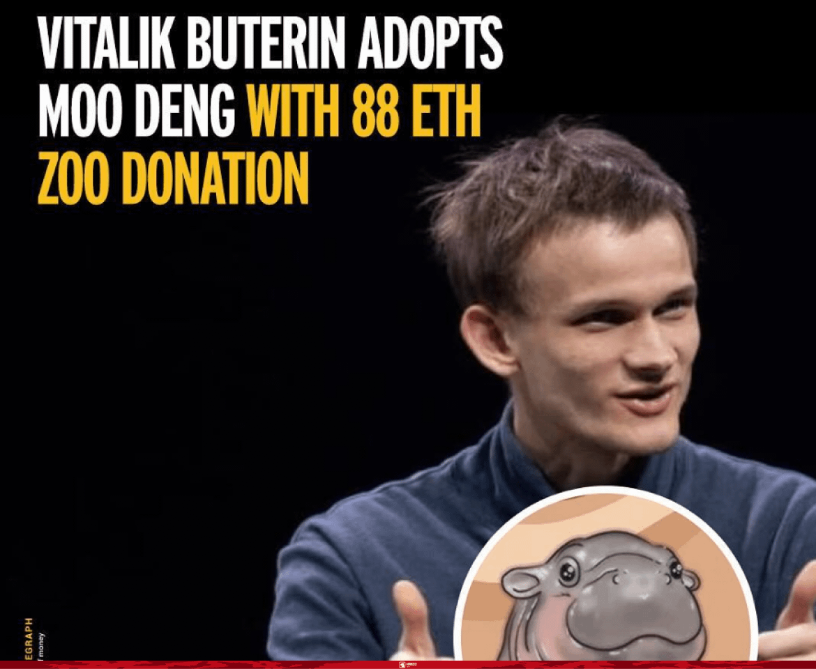 DeFi_Hanzo's tweet photo. Vitalik didn't just flip it — he adopted Moo Deng and donated 88 ETH + 10M THB to the zoo.

The zoo saw a record number of visitors.

Thai fans made merch, art, and even makeup looks based on Moo Deng’s face.

It became part meme, part movement. https://t.co/TpGOWj8Zod