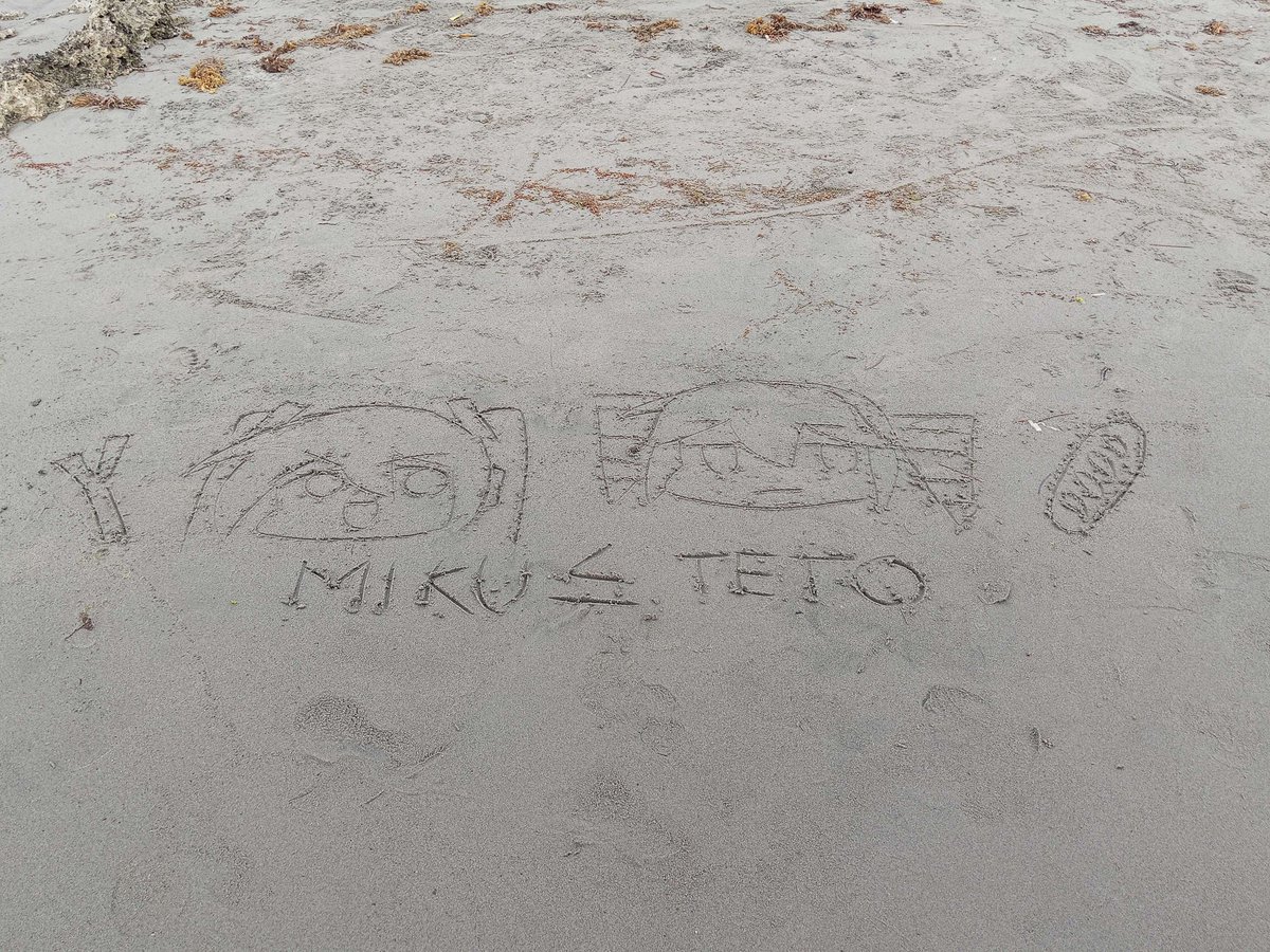 _jebiii's tweet image. went to the beach. it was fun

i drew miku and teto