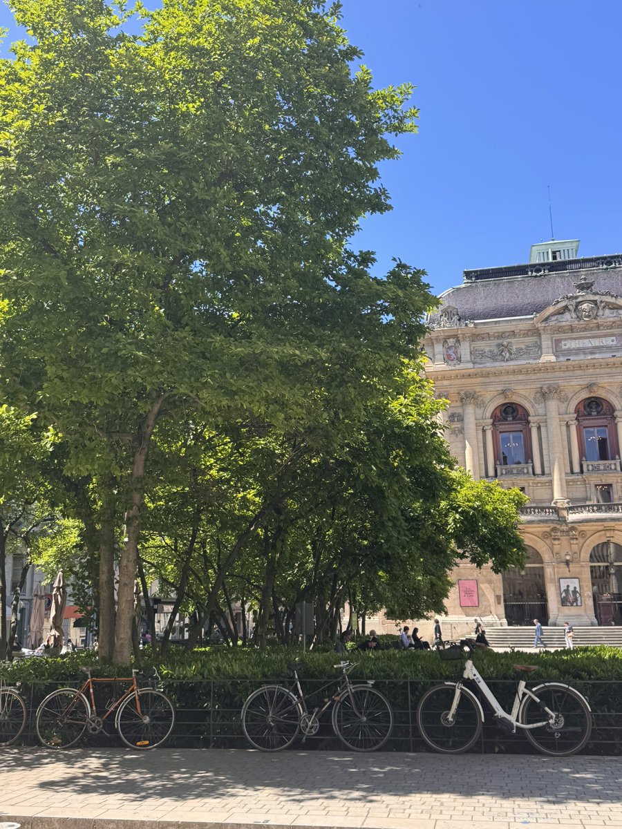 Un nîmois à Lyon  #LGBTQIAEndOfThePetition