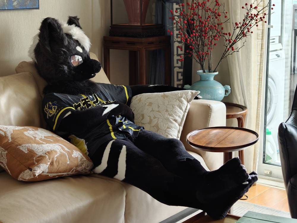 来点正经一点的x