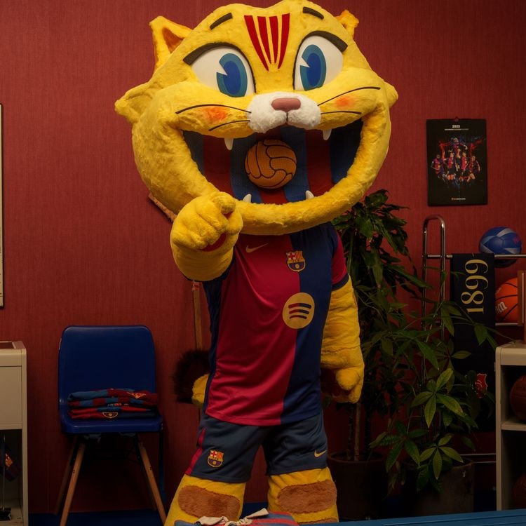 PopBaseCat's tweet photo. 🚨ULTIMA HORA | Cat Culer es perdrà el partit d'avui contra el Villarreal en símbol de dol pel blanqueig a l'estat genocida d'Israel mirjançant la posició 24 de Melody ahir a Eurovisió https://t.co/yX1wQl4jeN