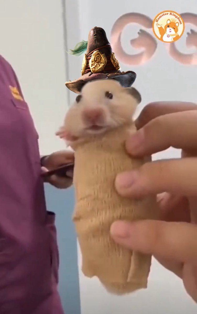 Nerscylla kidnapping Rove for the 57th time this month