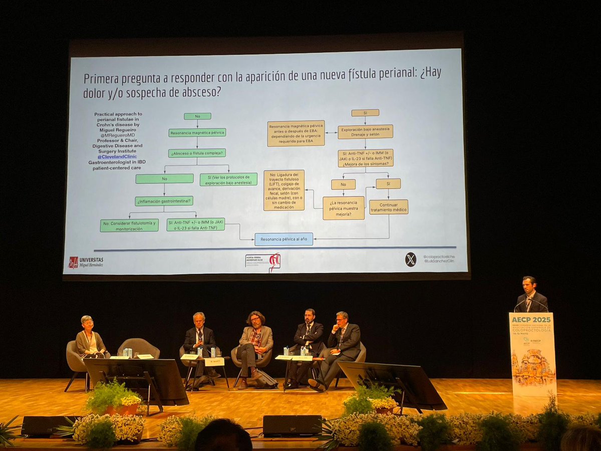 coloproctoelche (@coloproctoelche) on Twitter photo Mesa de Enfermedad Inflamatoria Intestinal en el congreso #AECP2025 con la participación del Dr. Sánchez-Guillén como ponente <a href="/AECP_FAECP/">AECP</a> <a href="/coloproctoelche/">coloproctoelche</a> <a href="/GVAsaludelche/">Dpto. Salud de Elche</a> <a href="/LuisSanchezGlln/">Luis Sánchez-Guillén</a> Mesa de Enfermedad Inflamatoria Intestinal en el congreso #AECP2025 con la participación del Dr. Sánchez-Guillén como ponente <a href="/AECP_FAECP/">AECP</a> <a href="/coloproctoelche/">coloproctoelche</a> <a href="/GVAsaludelche/">Dpto. Salud de Elche</a> <a href="/LuisSanchezGlln/">Luis Sánchez-Guillén</a>