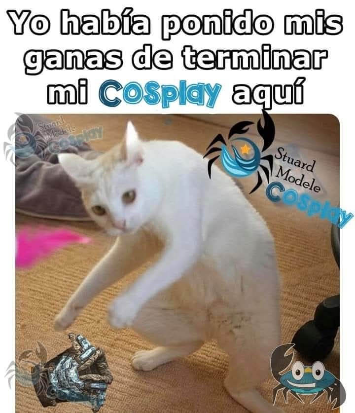 Stuard_Modele's tweet photo. Alguien las ha visto?... No??... Nadie??? 😅🤭✨🦀 https://t.co/xmtxzmopxo