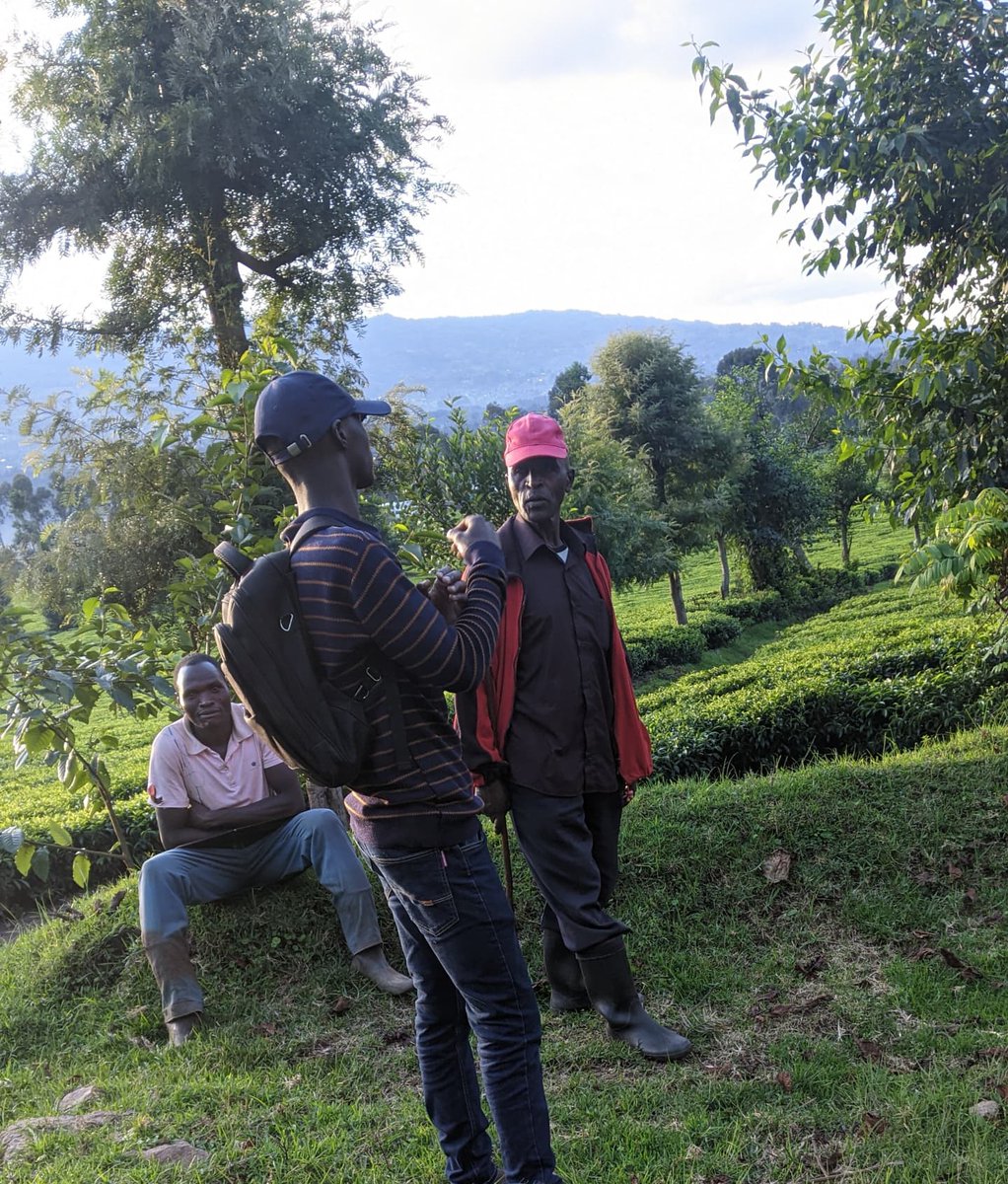 NIGANZENathana1's tweet photo. Fascinating field visit to the Nyabihu mountain tea company. Learned so much about tea cultivation and the dedication of the farmers. A real eye-opener✌️ #TeaFarming #AgriculturalTourism https://t.co/IRFY71IHbW