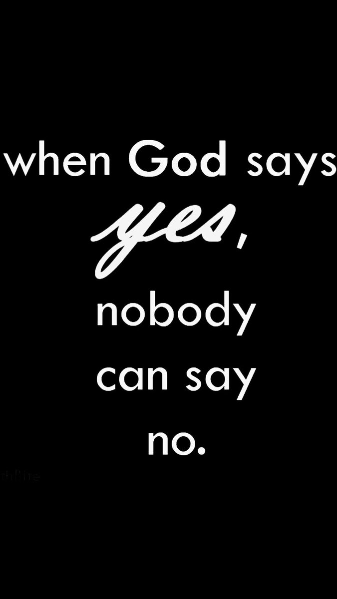 FLYCADE's tweet image. 