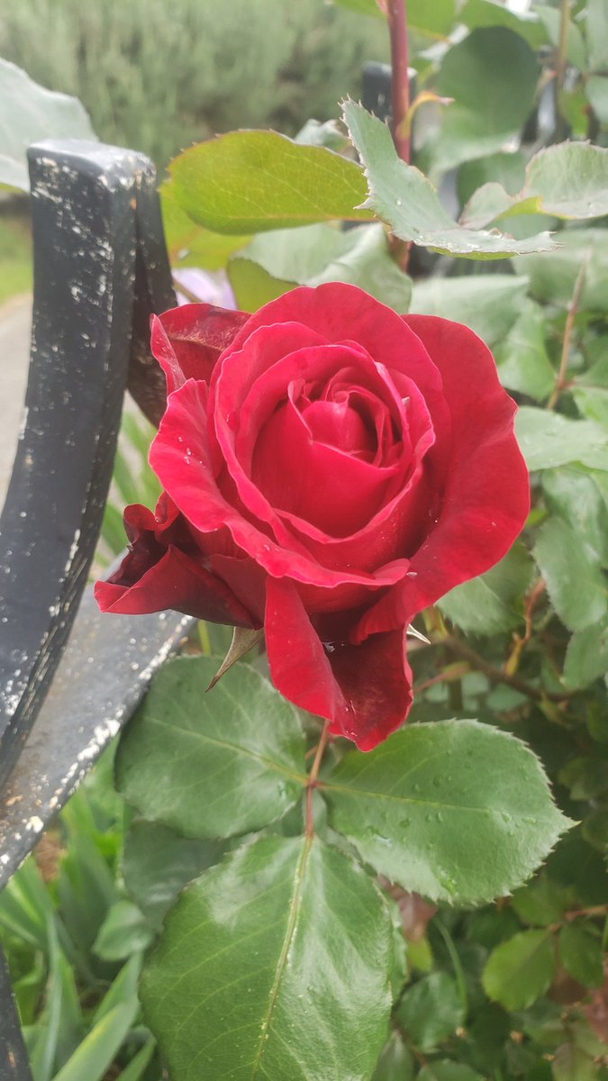 Good morning...
Every day is a great day to be alive.
Be alive.
Do something creative.
Learn something new.
Today.