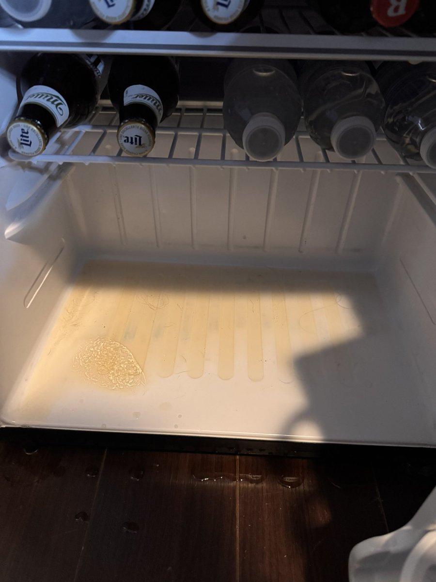 ry, that racc guy tweet media