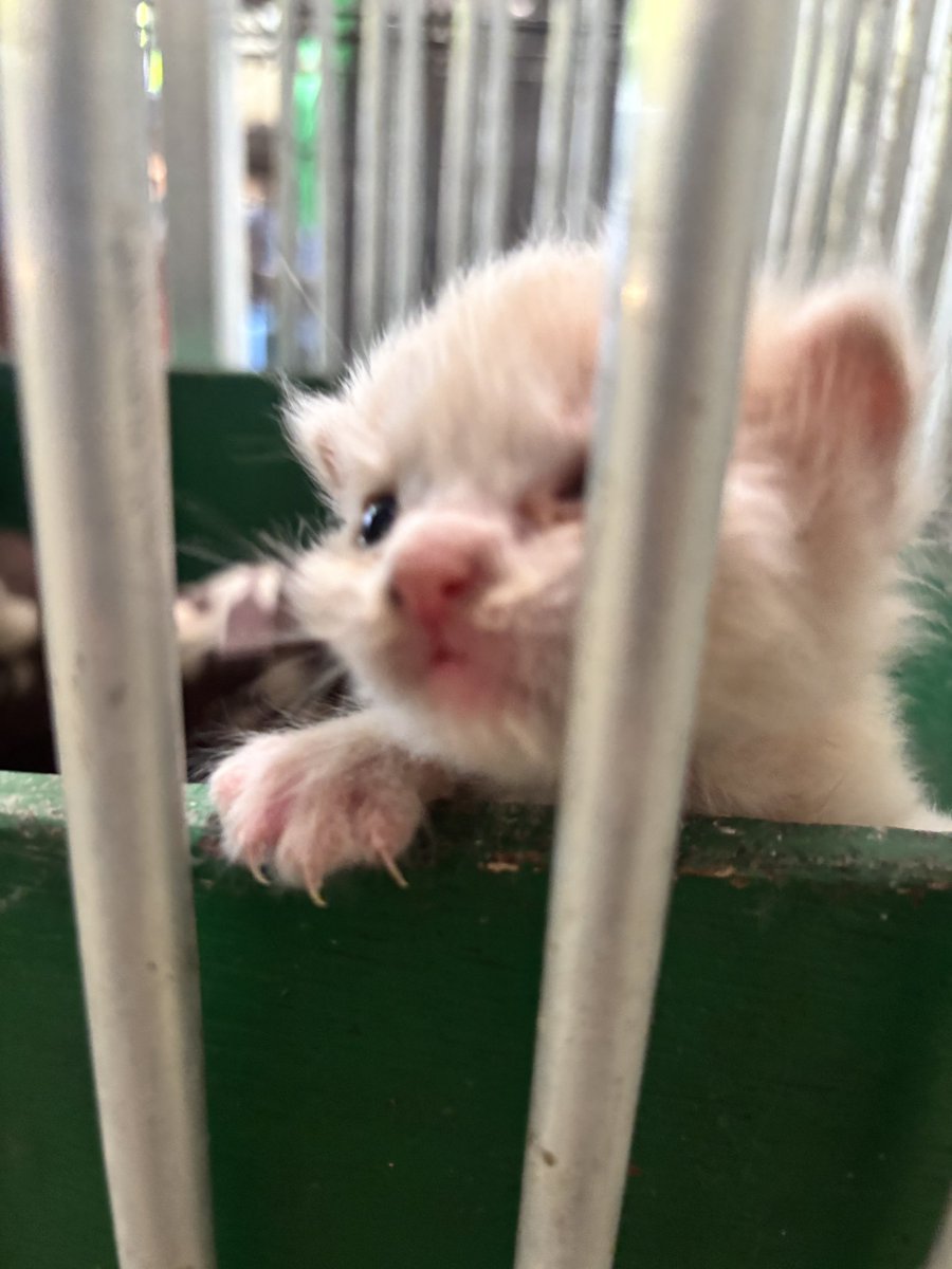 Flerrienne's tweet photo. Cutie mo pa dito😭😭😭 https://t.co/7bMz0zHMzD