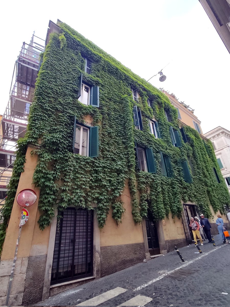 Primavera romana : angoli fioriti di Roma 
🌺🌼🪻💮🌹🌻🪷🥀🌷🏵️💐🌸
#roma #romacaputmundi #romacapitale