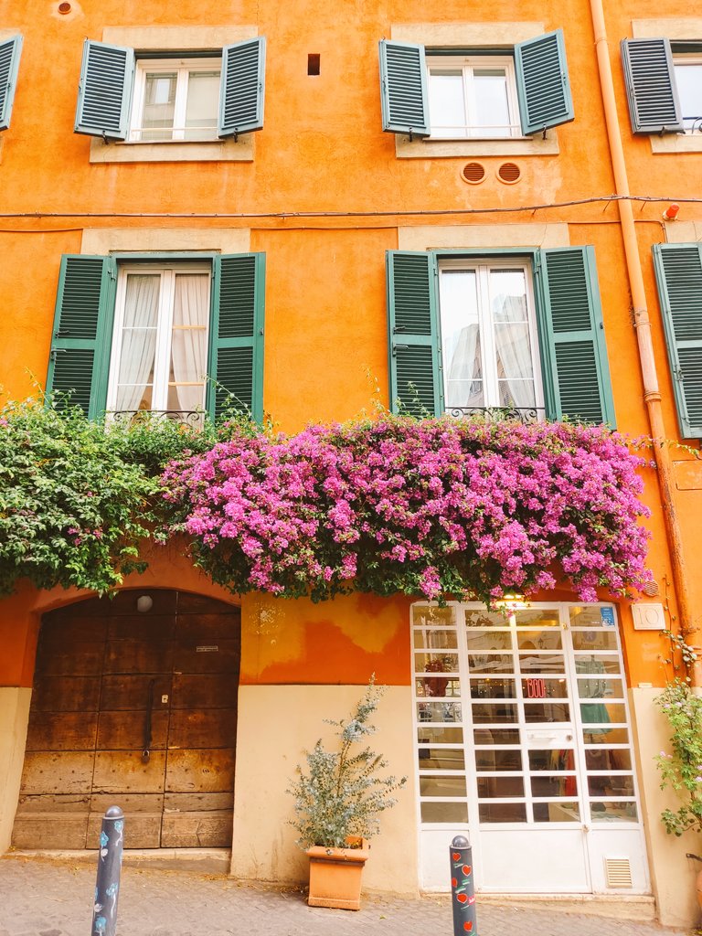 bluesearainbow's tweet photo. Primavera romana : angoli fioriti di Roma 
🌺🌼🪻💮🌹🌻🪷🥀🌷🏵️💐🌸
#roma #romacaputmundi #romacapitale https://t.co/YaCqOVrEaC