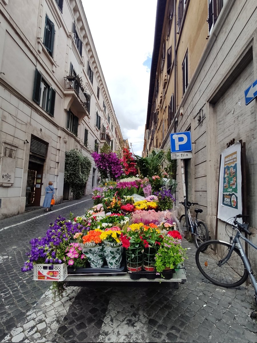 bluesearainbow's tweet photo. Primavera romana : angoli fioriti di Roma 
🌺🌼🪻💮🌹🌻🪷🥀🌷🏵️💐🌸
#roma #romacaputmundi #romacapitale https://t.co/YaCqOVrEaC