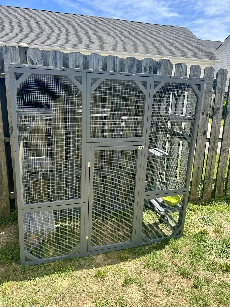 No more baby bunny incidents on my watch.