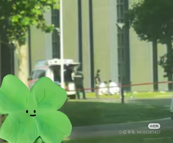 ❀雲堇はるか❀ tweet media