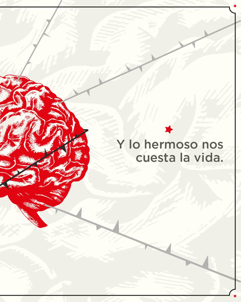 KandavuOficial's tweet photo. El Aprendiz de Brujo regresa a Lima para detener el tiempo con su voz, su guitarra y poesía.

Una noche para soñar despiertos, para volver al alma... para cantar lo que sentimos y no siempre sabemos decir.

📅 25 de octubre
📍 Costa 21
🎟️ Entradas en Teleticket

#SilvioRodríguez https://t.co/uO7nVWJnnV