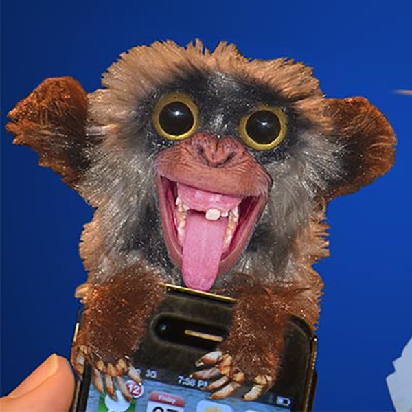 UnicunShop's tweet image. Ready to unleash some harmless chaos? 😈 This Sneekums Pop-up Prank Monkey is guaranteed to give your friends (and enemies?) a fright! 😂  unicun.com/product/sneeku…  #pranks #funnygifts #monkeybusiness