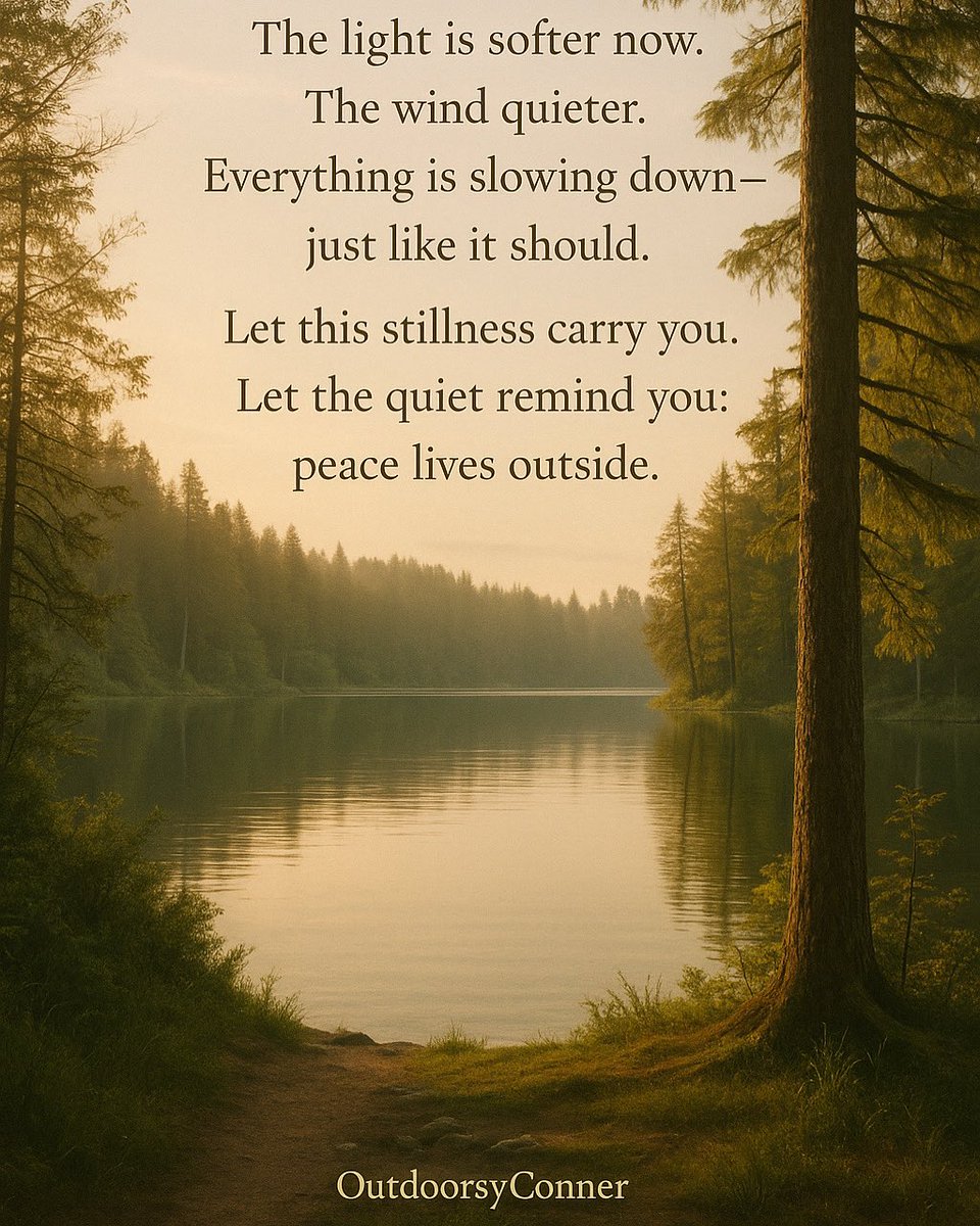 OutdoorsyConner's tweet photo. #SundayStillness #PeaceLivesOutside #OutdoorsyConner #NatureMeditation #BohoVibes #MindfulLiving #QuietMoments #LakeVibes #StillnessInNature #MinimalNature #PNWAesthetic #ForestPeace #SlowDownSunday #BohoOutdoors #NatureIsHealing #SoulfulSunday #WildernessWhispers #AfternoonCalm #NatureCentered #SerenityOutside