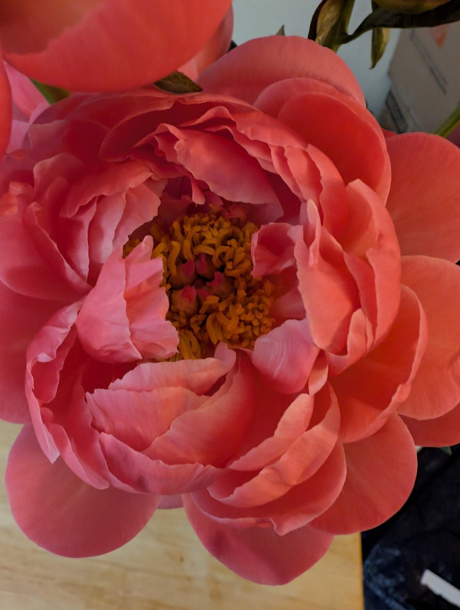 See if you can guess the right answer to this popular riddle about San Diego CA. weather.

If April shower bring May Flowers, 
What do May flowers bring? 
Then what does May______
Bring?