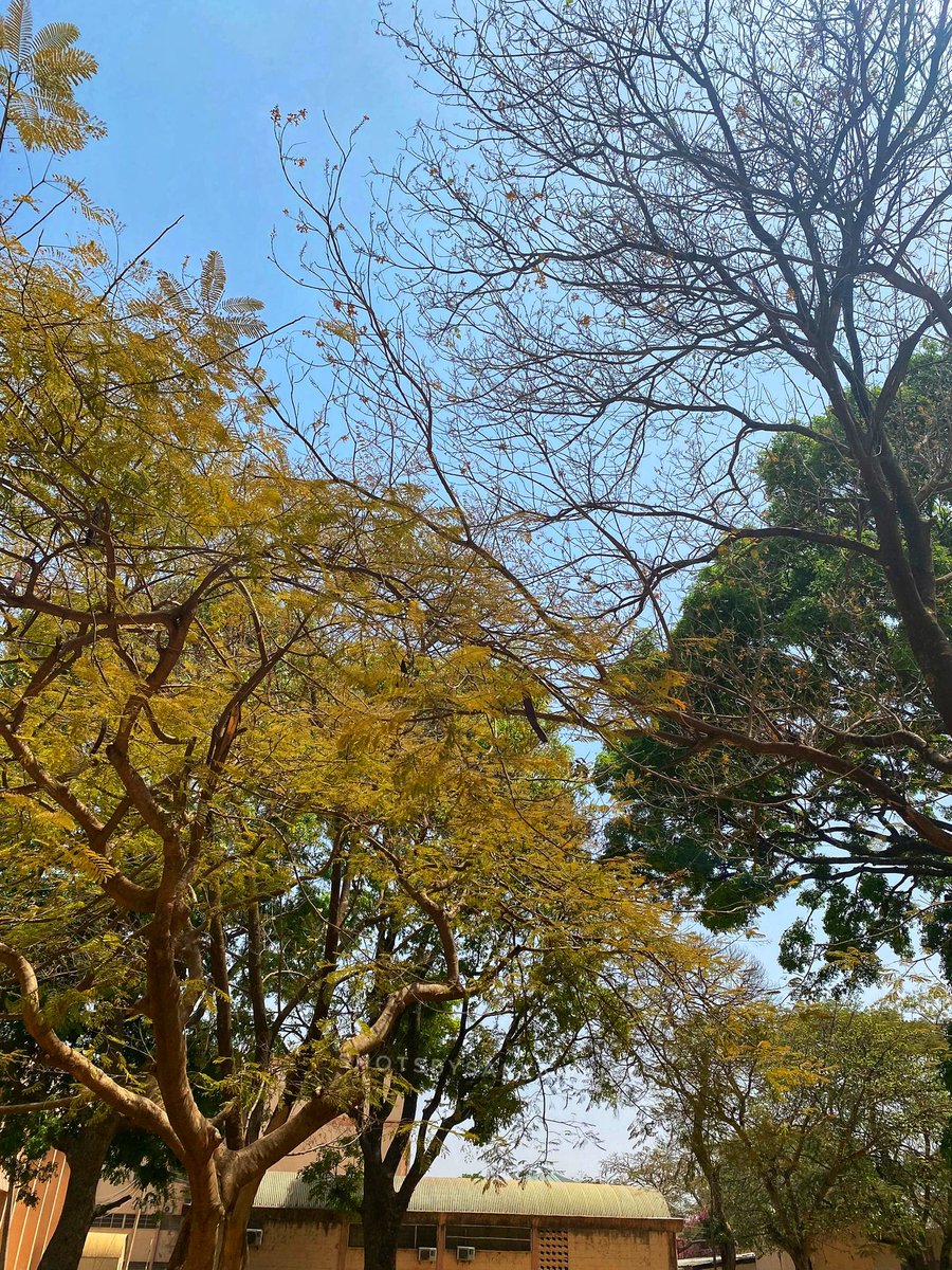 I love the nature here🥂💕