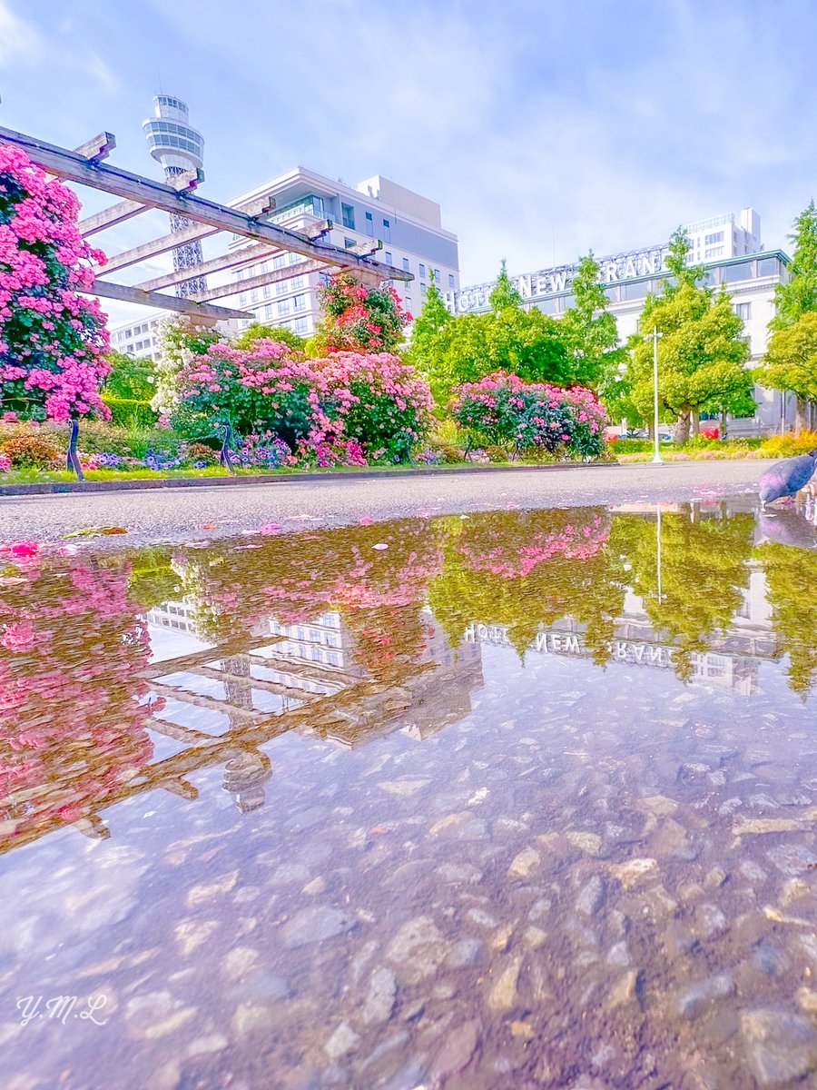 『雨上がり🌹🏨』

#ホテルニューグランド
#横浜マリンタワー
#山下公園
#ローズウィーク
#ガーデンネックレス横浜2025
#iPhone14pro
#ファインダー越しの私の世界
#カメラ好きな人と繫がりたい 
#写真好きな人と繋がりたい
#TLを花でいっぱいにしよう