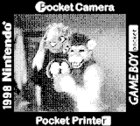 Dusti 🔜 TFF tweet media