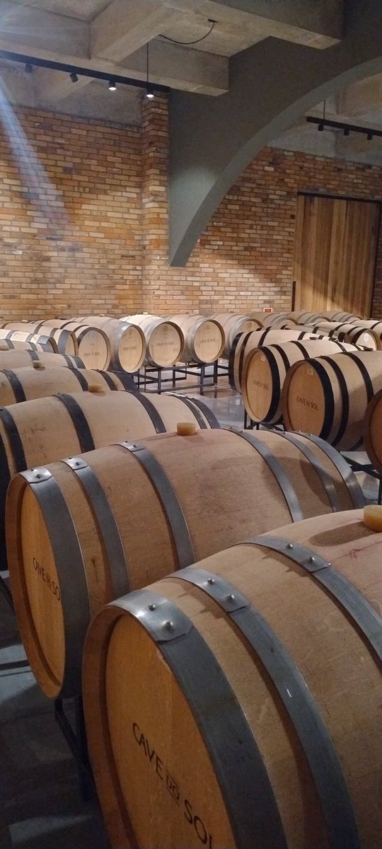 lrogel's tweet photo. 🍷 Os barris de carvalho vão muito além de um charme.

Eles ajudam a amaciar os taninos, permitem uma micro-oxigenação controlada e ainda acrescentam aromas como baunilha, coco, especiarias e tostado. Um toque do carvalho pode transformar completamente o perfil do vinho! https://t.co/1e4q1SaPGZ