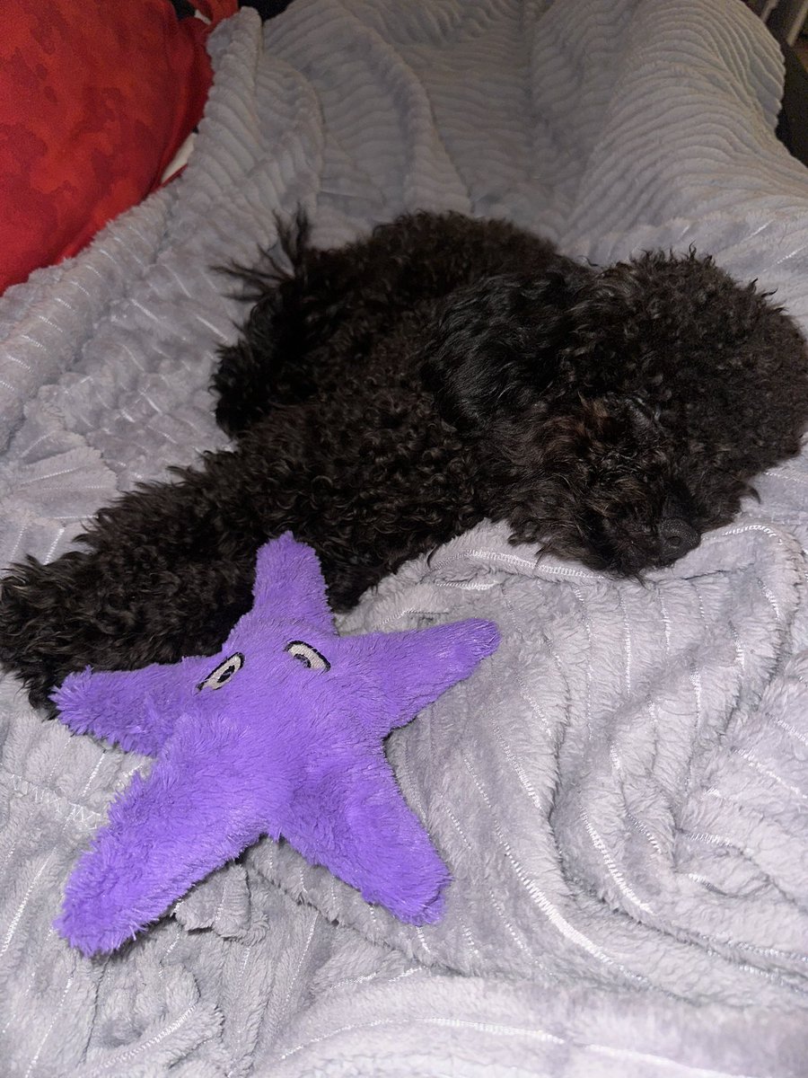 o her şeyden habersiz kucağımda uyuyor, bende birlikte neler atlattığımızı düşünüyorum. İyi ki varsın oğlum, senin hatrına dönüyor dünya✨