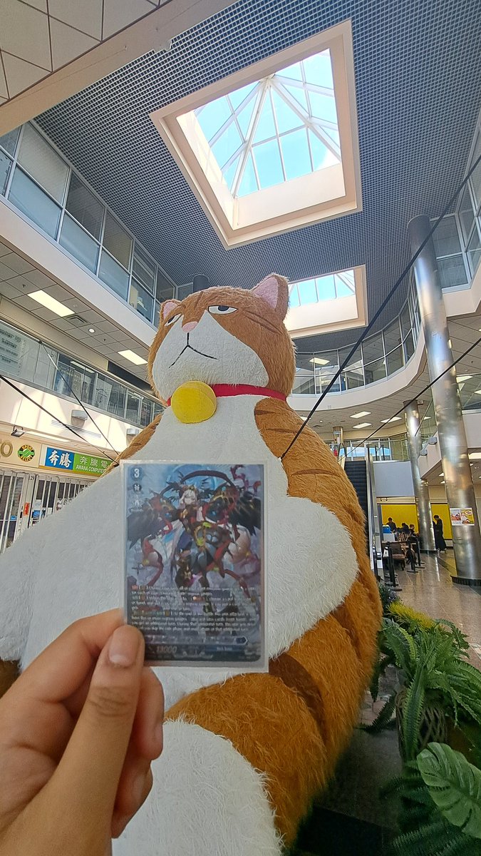 Vanguard with food? No #vanguardwithcat