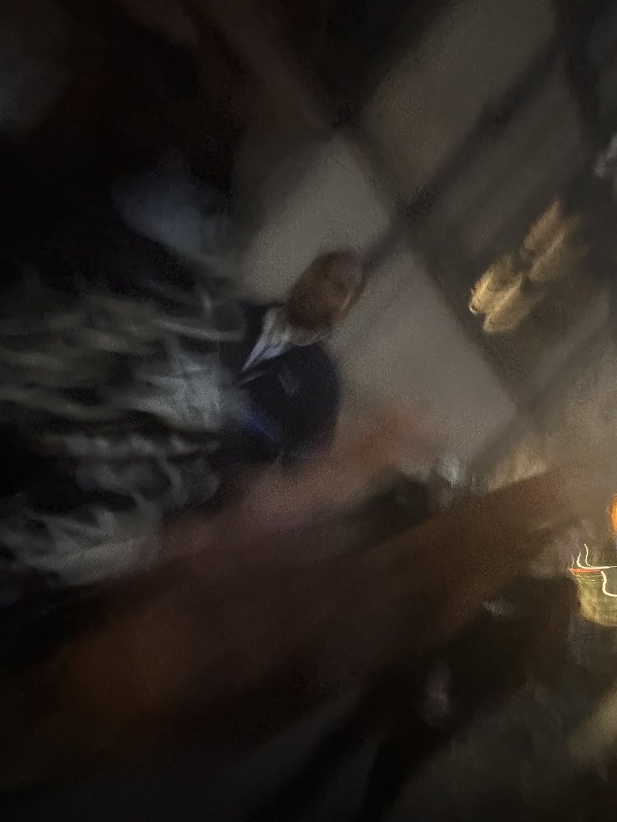 luushezz's tweet photo. @JmeBBK i waited for 40 minutes after everyone left bc i wanted a better pic 😭😭 bro never came out https://t.co/2H5Xr6BJw6