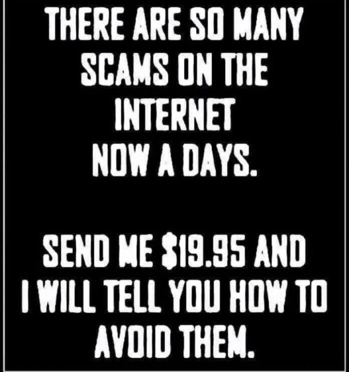 LoneStar (@lonestarnft) on Twitter photo 