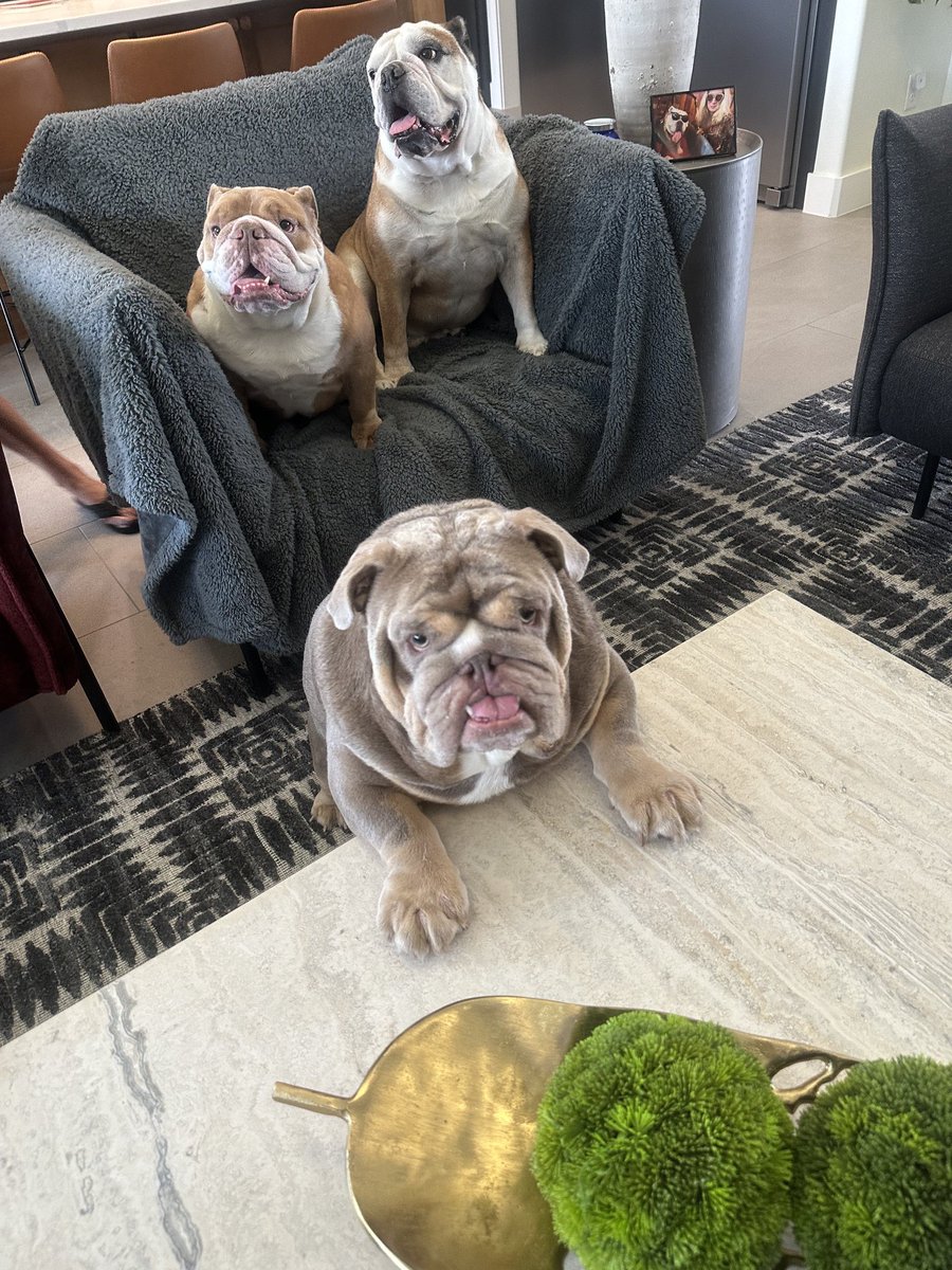 Check out who came to see me yesterday…Draya and Knuckles!!!  <a href="/RidleyHowell/">Mr. Ridley Oliver</a>