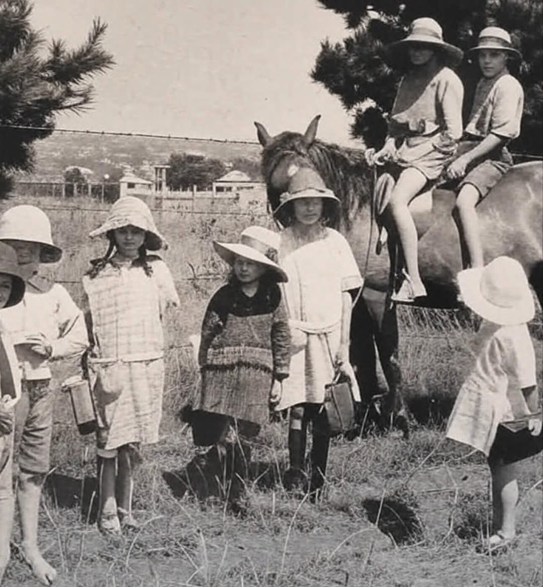 1920s — Picnic Point, Victoria 🇦🇺

Nestled along the scenic banks of the Murray River, Picnic Point in Victoria during the 1920s was a beloved retreat where families gathered under wide gum trees for quiet afternoons, laughter, and leisure. With its gentle currents and shaded