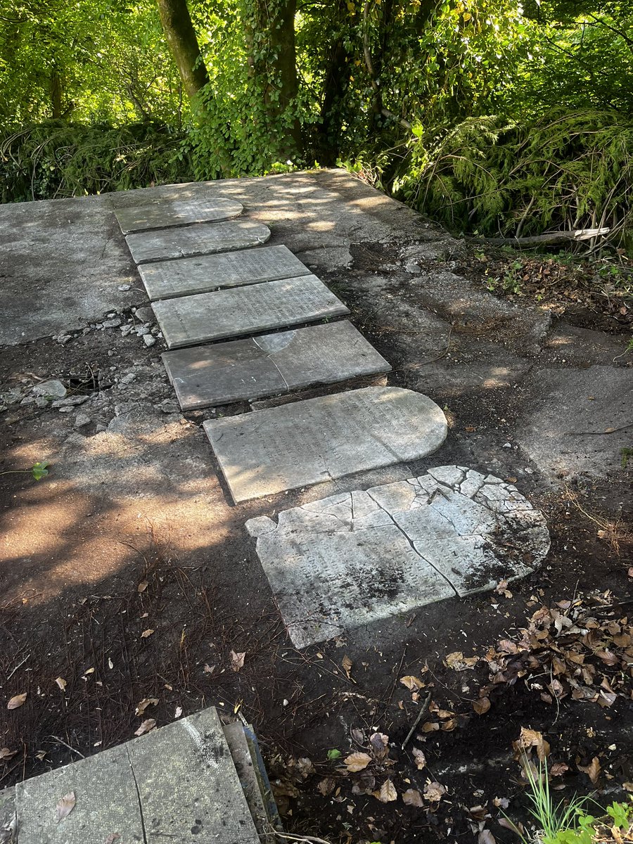 improvemyshelf's tweet image. Channelling our inner Black Thoughts whilst uncovering this crypt in the garden. Now what do we do with it 🤔