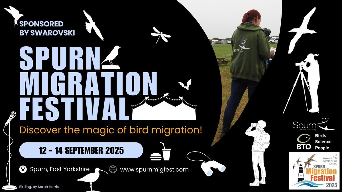spurnbirdobs's tweet photo. New to birding? Long-time birder? MigFest 2025 is for you.
🗓️ 12–14 Sept | Spurn
With @_BTO &amp; @SpurnBirdObs
Talks, workshops, ringing demos, and warm welcomes from the Spurn Ladies.
🎟️ https://t.co/bLqtHgpX7p
ℹ️ https://t.co/jj83Qxk2xC
@SwarovskiOptik https://t.co/3AnH4I9Hmn