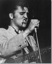 Daily Elvis tweet media