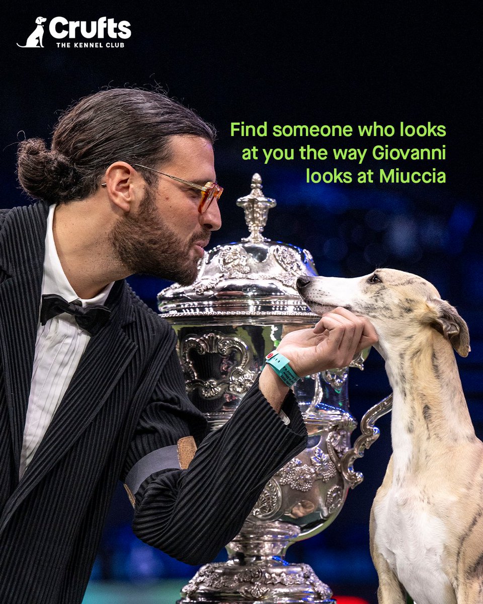 If he don't, it's a 🚩... just sayin'

#Crufts #Whippet