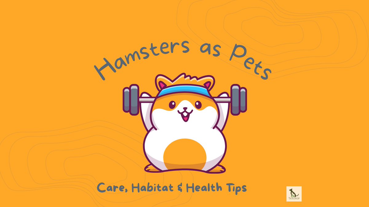 thePetLablab's tweet photo. Thinking about getting a hamster?
These little pets are low-maintenance, but only if you know the basics.
Check out our guide on care, habitat setup, feeding &amp; health tips:
👉 https://t.co/2OYyGRJgF8
#HamsterCare #SmallPets #PetTips #ThePetCareLab https://t.co/WN9YrHVPee