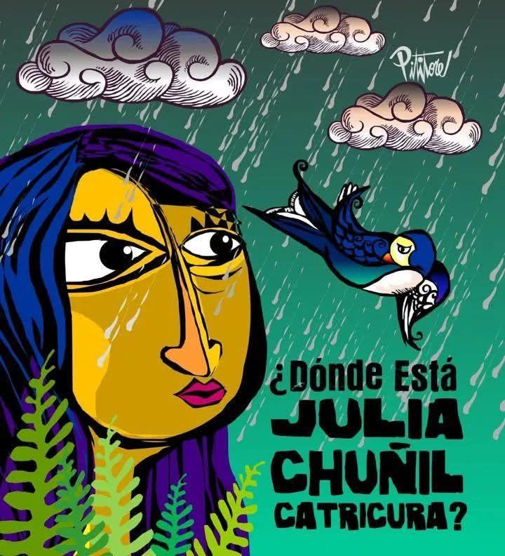 No dejemos de hablar de Julia Chuñil y su perro Cholito
#DondeEstaJuliaChuñil