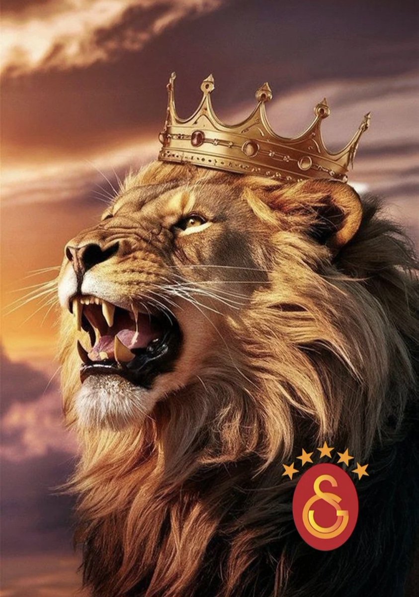 KevserCamadan's tweet photo. Şampiyon GALATASARAY 💛❤️
⭐️⭐️⭐️⭐️⭐️ https://t.co/IBr2unYQ1U
