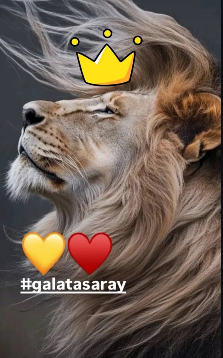 Cimbom Galatasaray Şampiyonnnnn...💛❤️

İyi ki GALATASARAYlıyım...

⭐⭐⭐⭐⭐ 💛❤️