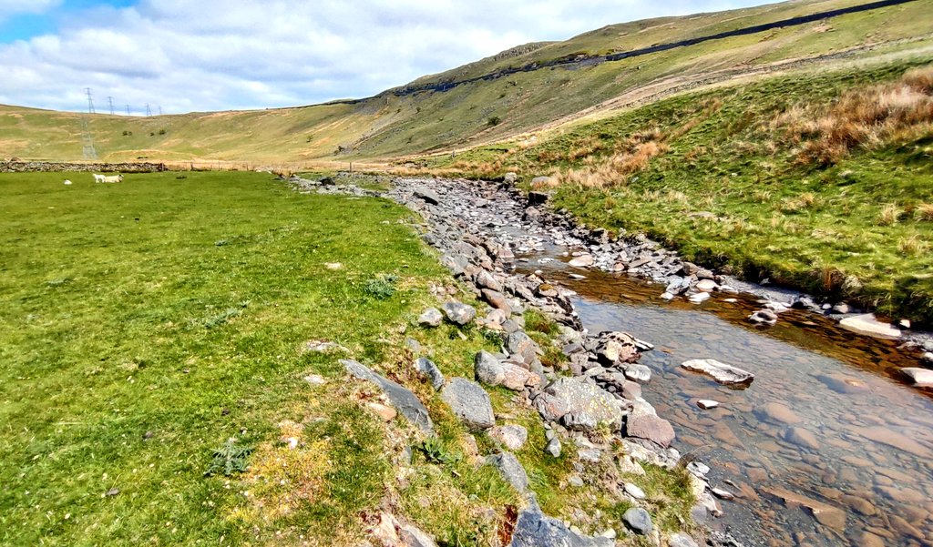 Jonathan Grey tweet media