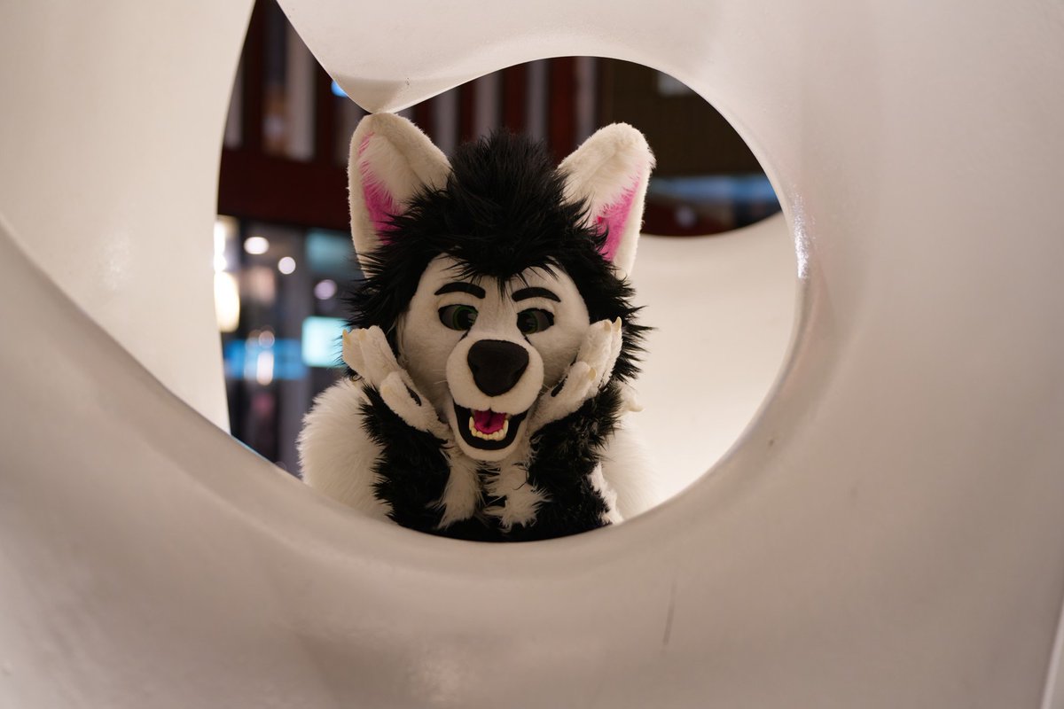 How to find me confuzzled 

Please
Make Photos from me
ASK for snuggles and hugs
Invite me to a cider 

:)