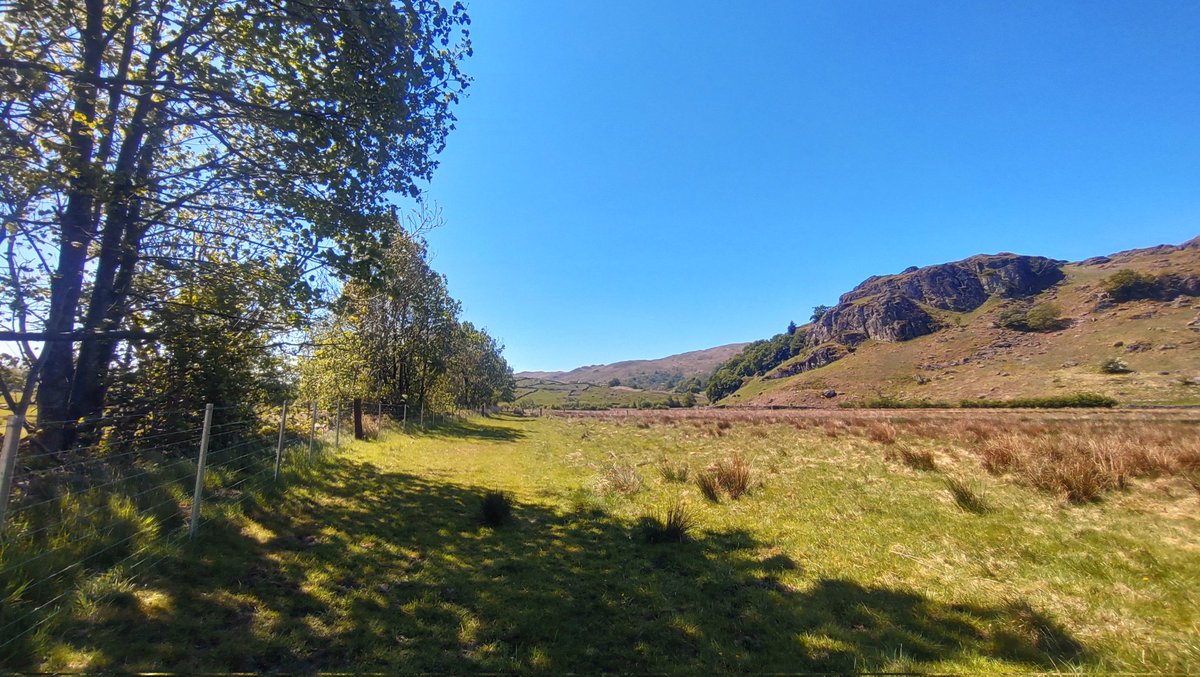 Jonathan Grey (@profjgrey) on Twitter photo Further afield in #Cumbria for <a href="/WildTroutTrust/">The Wild Trout Trust</a> project proposals to feed into Penrith to Kendal Arc #LandscapeRecovery Project.
Denuded & depauperate, it will need to be transformational! So many channels realigned, straightened & perched, disconnecting floodplains Further afield in #Cumbria for <a href="/WildTroutTrust/">The Wild Trout Trust</a> project proposals to feed into Penrith to Kendal Arc #LandscapeRecovery Project.
Denuded & depauperate, it will need to be transformational! So many channels realigned, straightened & perched, disconnecting floodplains